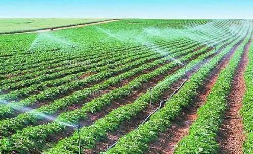 最黄的大屌操逼视频农田高 效节水灌溉